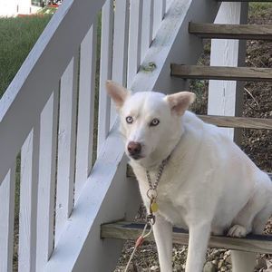 Meet your Posher, Jill